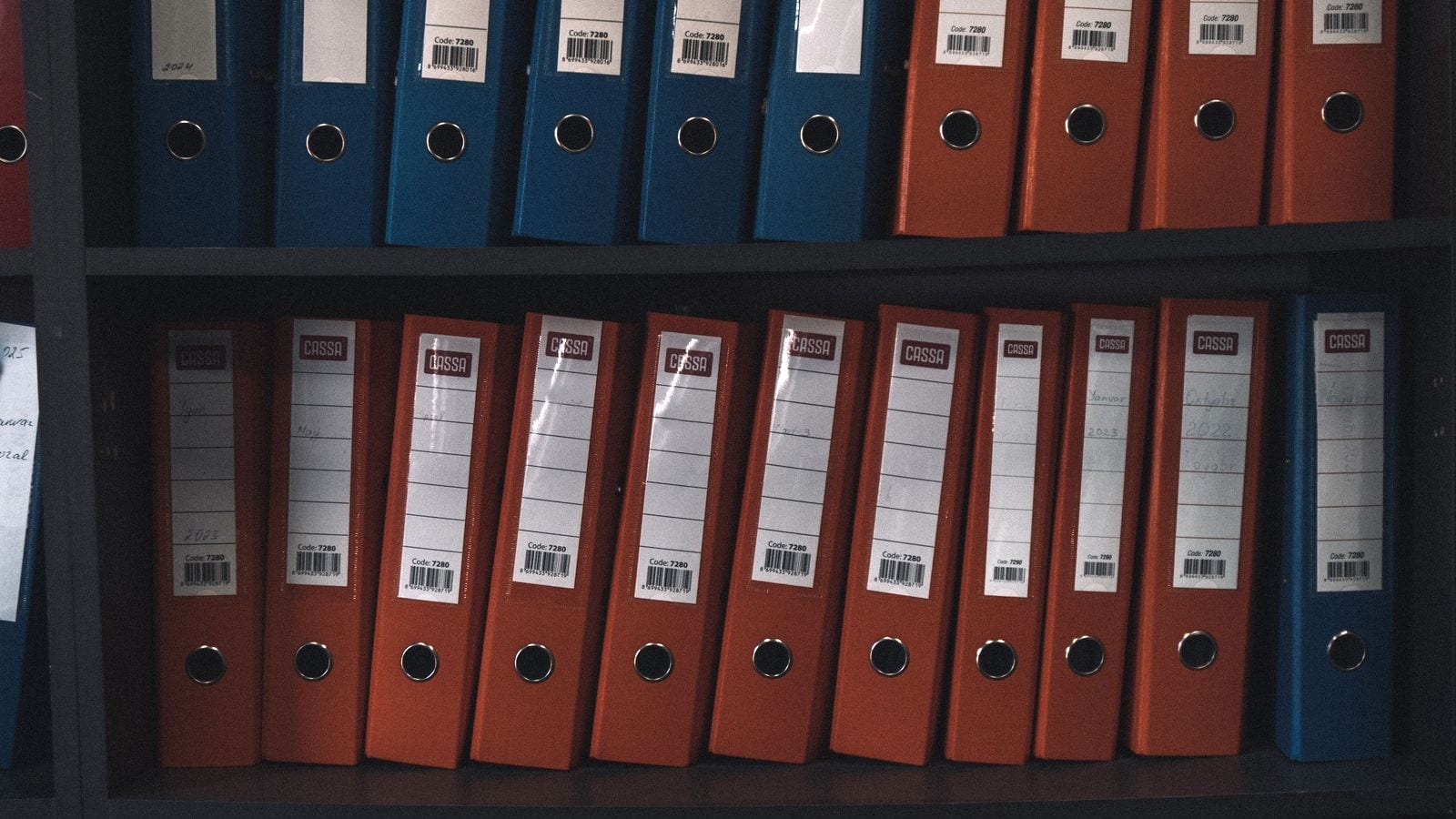 Shelves of red and blue lever-arch files, each with a handwritten label on its spine